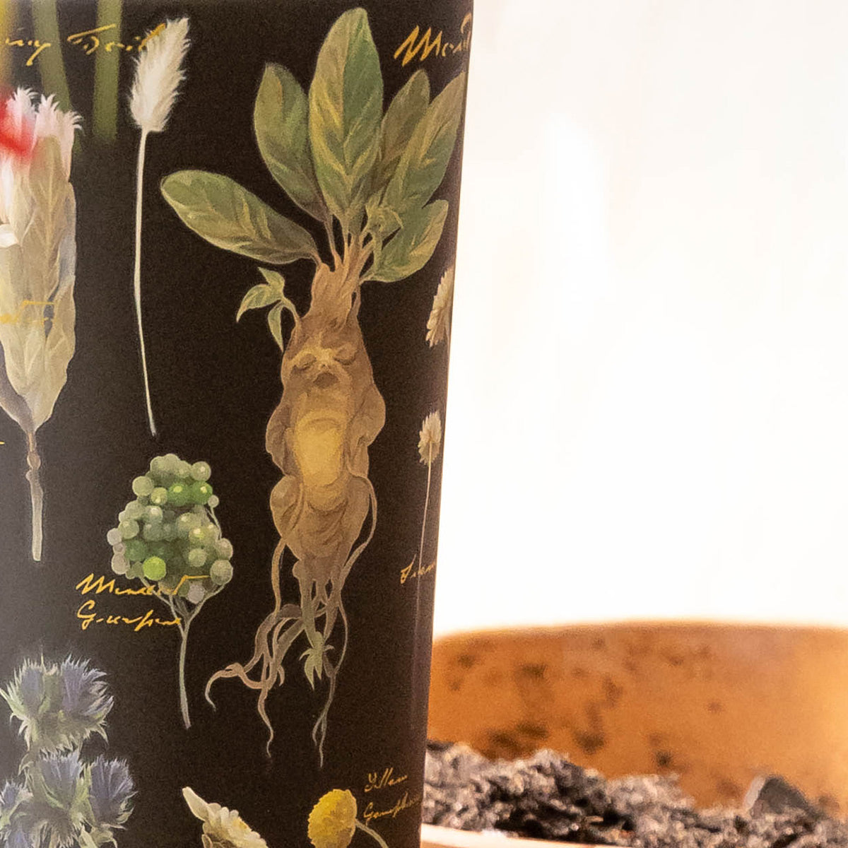 harry-potter-cold-cup-v0 Herbology-3.jpg