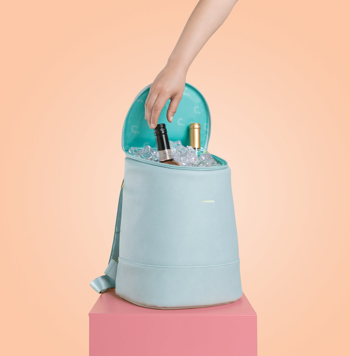 eola-bucket-cooler-bag-u9 a405954e83cf--EOLA-Bucket-copy.jpg